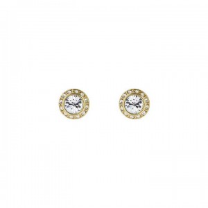 Gold Women Ted Baker Soletia Earrings | T-921843